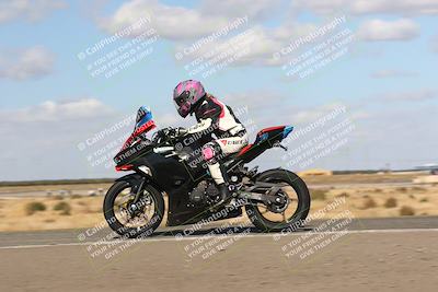 media/Nov-03-2024-TrackDaz (Sun) [[44580f4982]]/B Group/1220pm (Wheelie Bump)/
